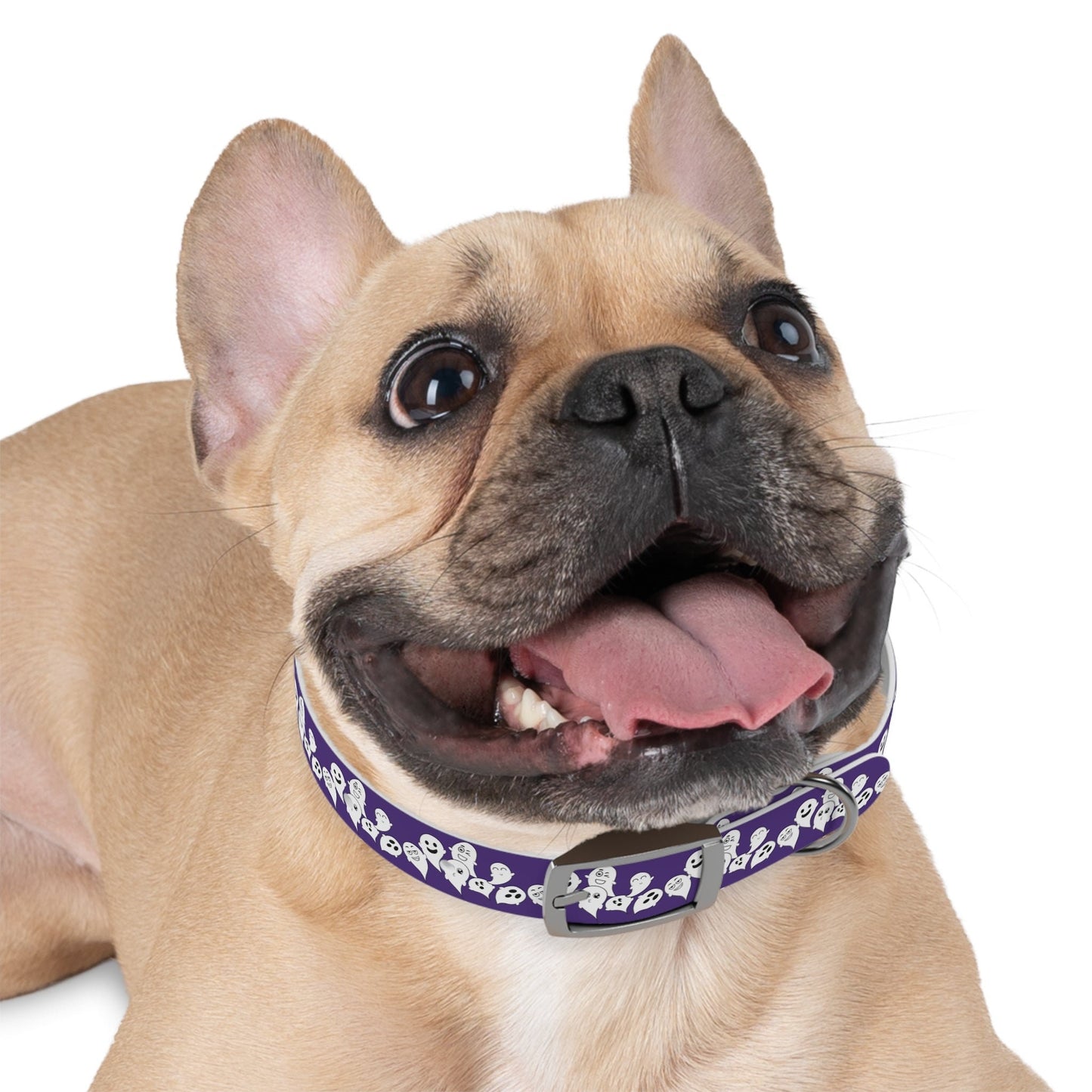 Halloween Dog Collar, Ghost Dog Collar, Halloween Dog accessories, puppy collar, cute and spooky dog collar adjustable