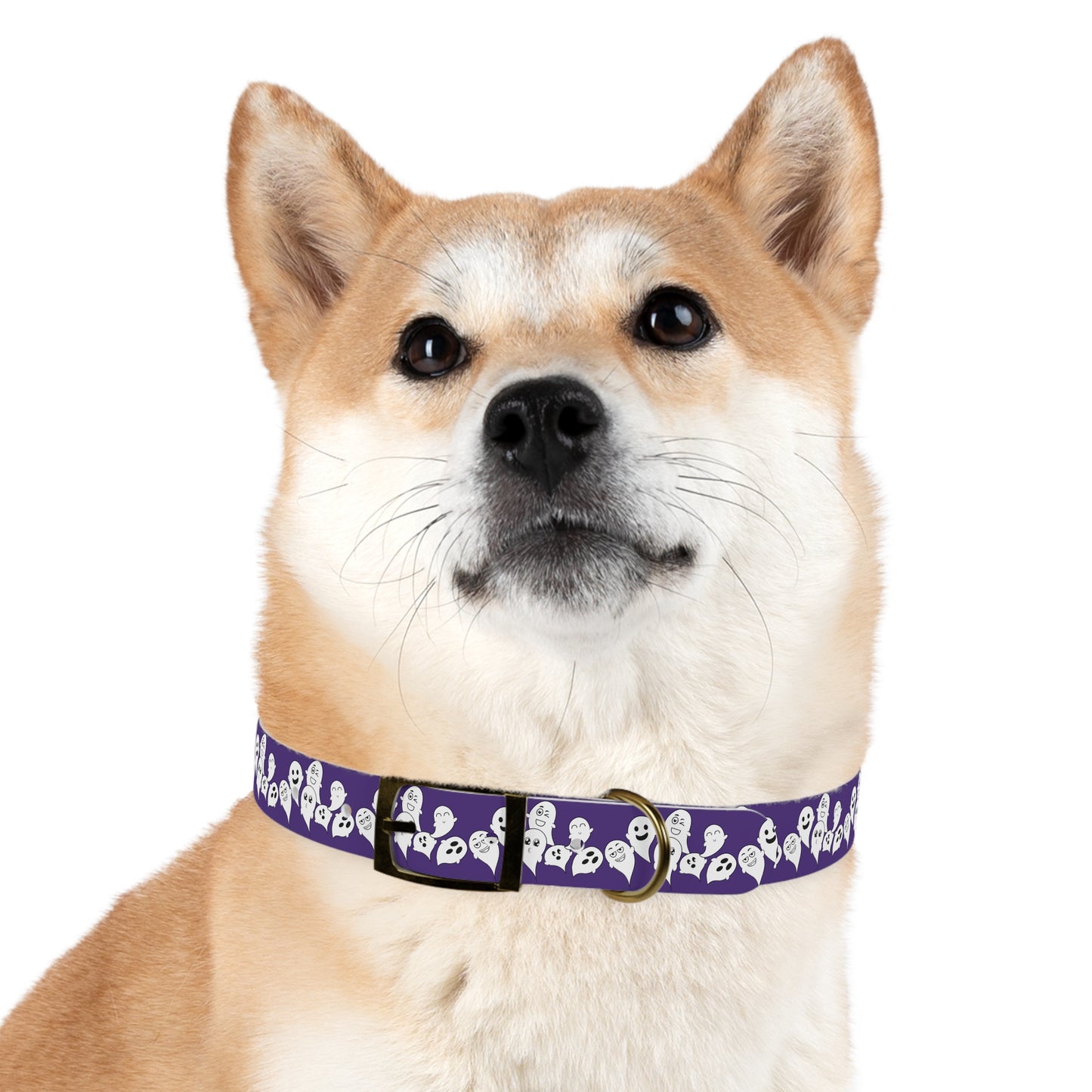 Halloween Dog Collar, Ghost Dog Collar, Halloween Dog accessories, puppy collar, cute and spooky dog collar adjustable
