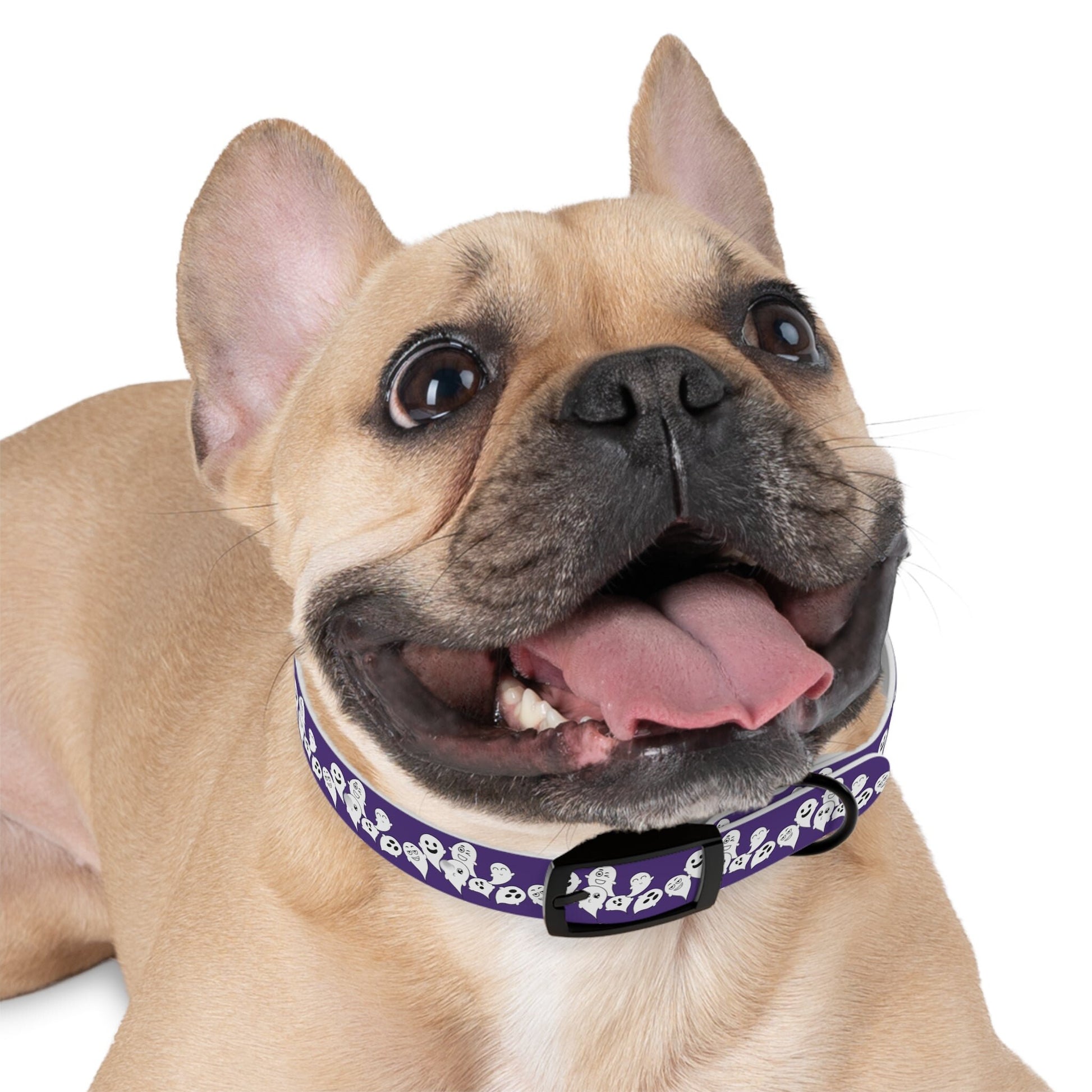 Halloween Dog Collar, Ghost Dog Collar, Halloween Dog accessories, puppy collar, cute and spooky dog collar adjustable